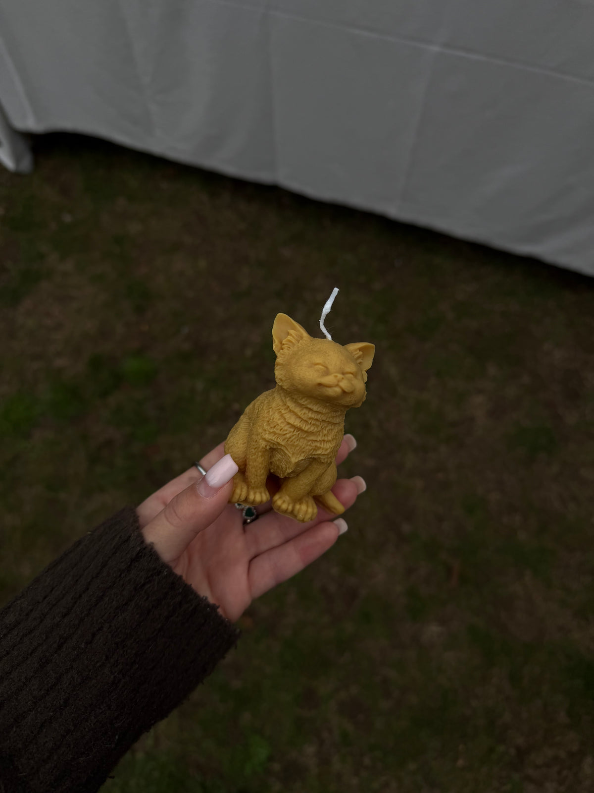 Chat