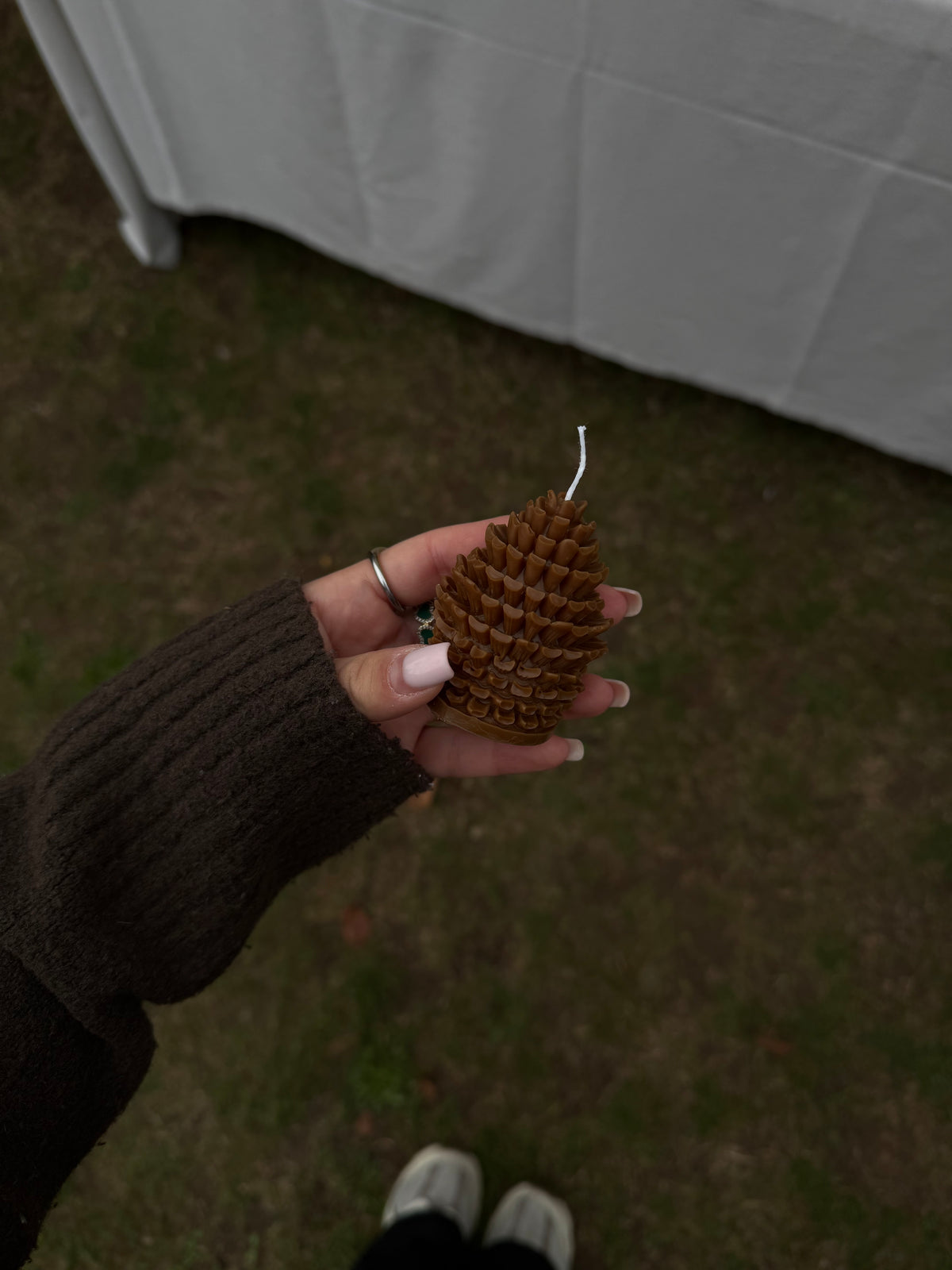 Pomme de pin