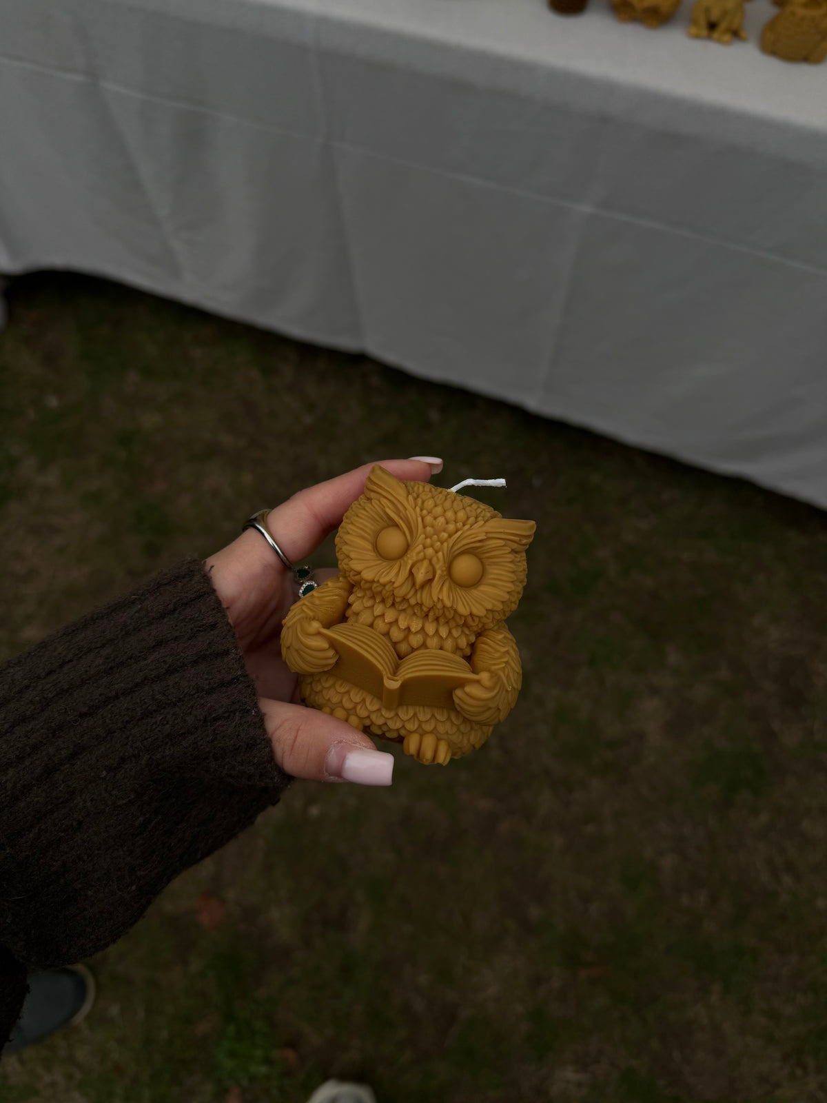 Le hibou lecteur