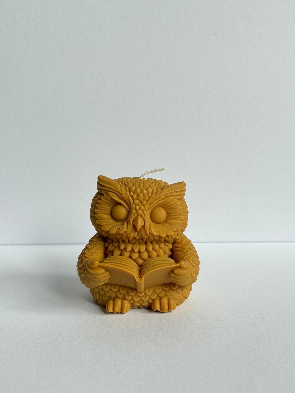 Le hibou lecteur