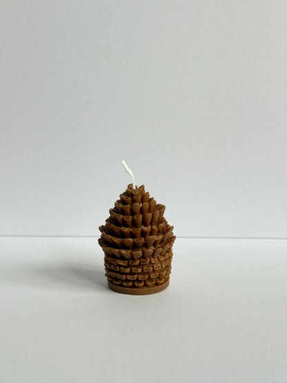 Pomme de pin
