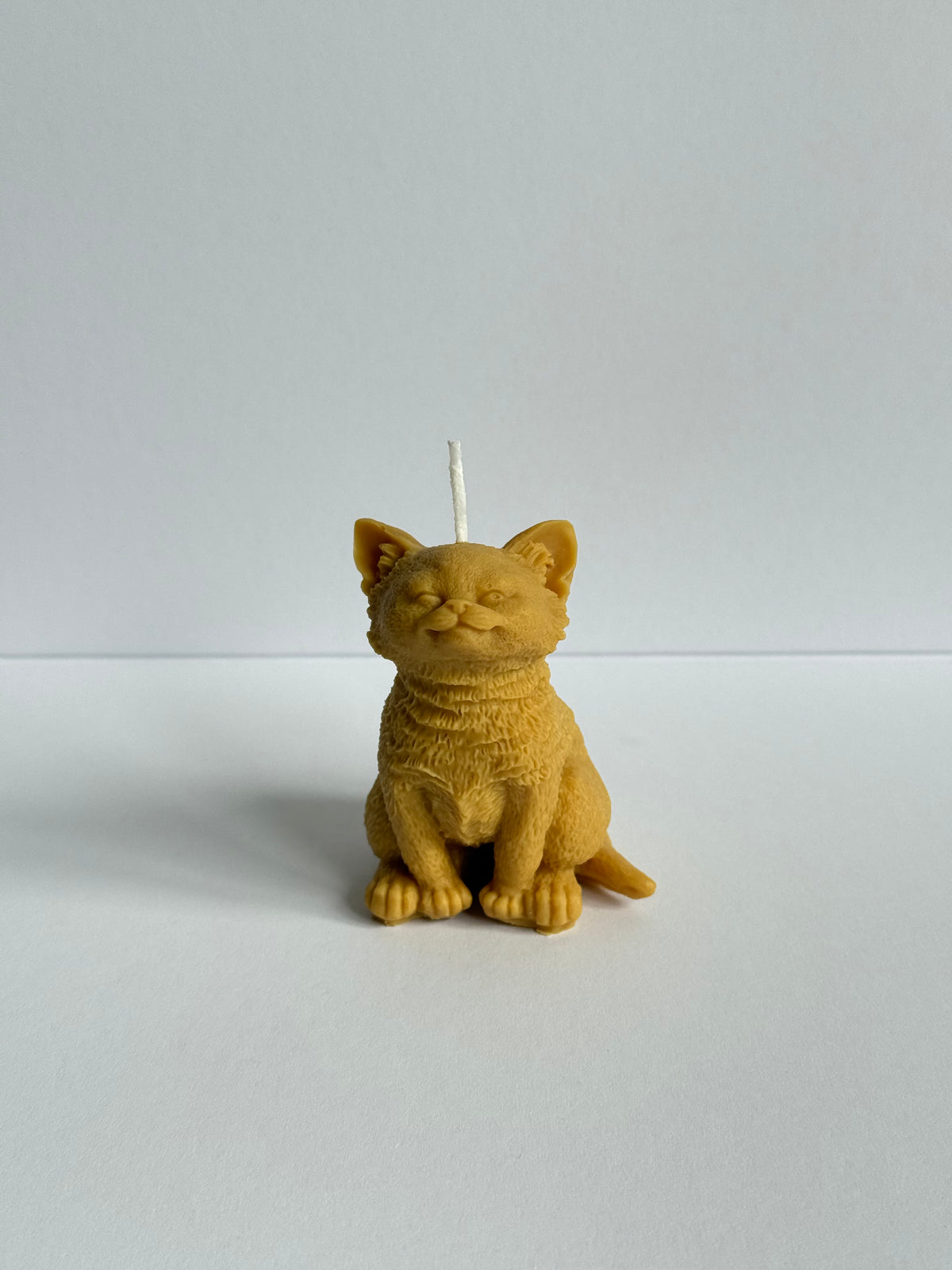 Chat